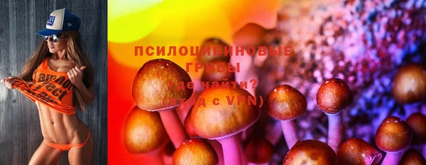 герыч Елизово